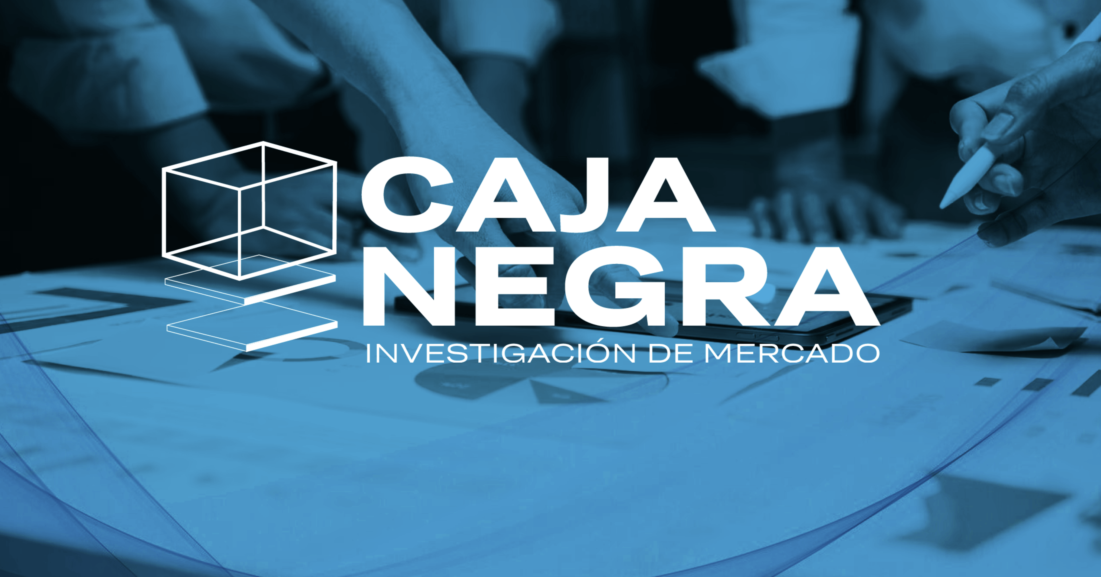CONSULTORA CAJA NEGRA I.M.